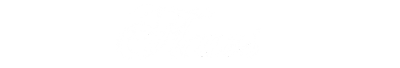 Flaws Studio